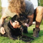 Effektive Mensch-Hund-Kommunikation: Einblicke von Sonee Dosoruth