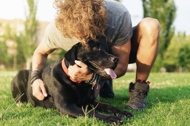 Effektive Mensch-Hund-Kommunikation: Einblicke von Sonee Dosoruth