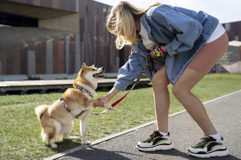 Hund richtig auslasten: Der Mythos Auslastung – warum weniger oft mehr ist
